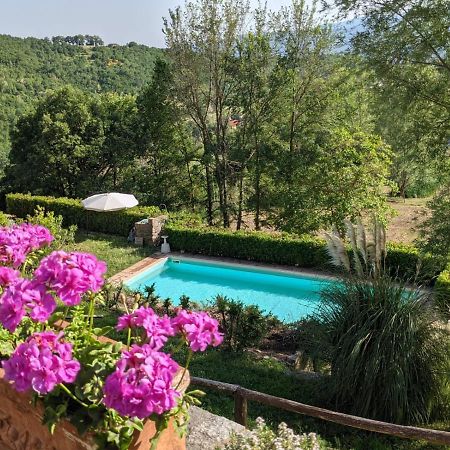 Agriturismo Casentino - Fattoria Ventrina Martina 外观 照片