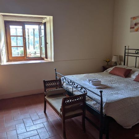 Agriturismo Casentino - Fattoria Ventrina Martina 外观 照片