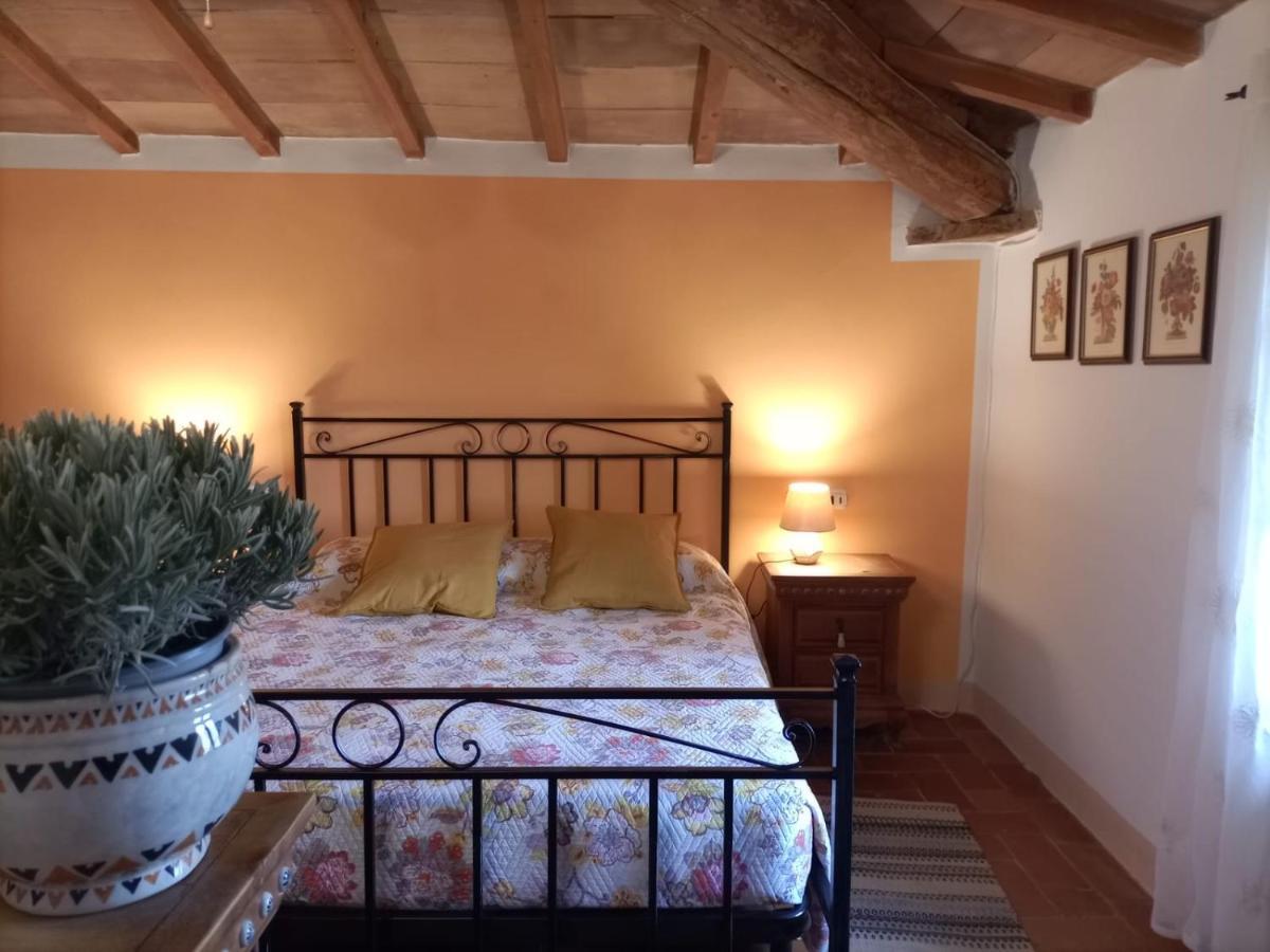 Agriturismo Casentino - Fattoria Ventrina Martina 外观 照片