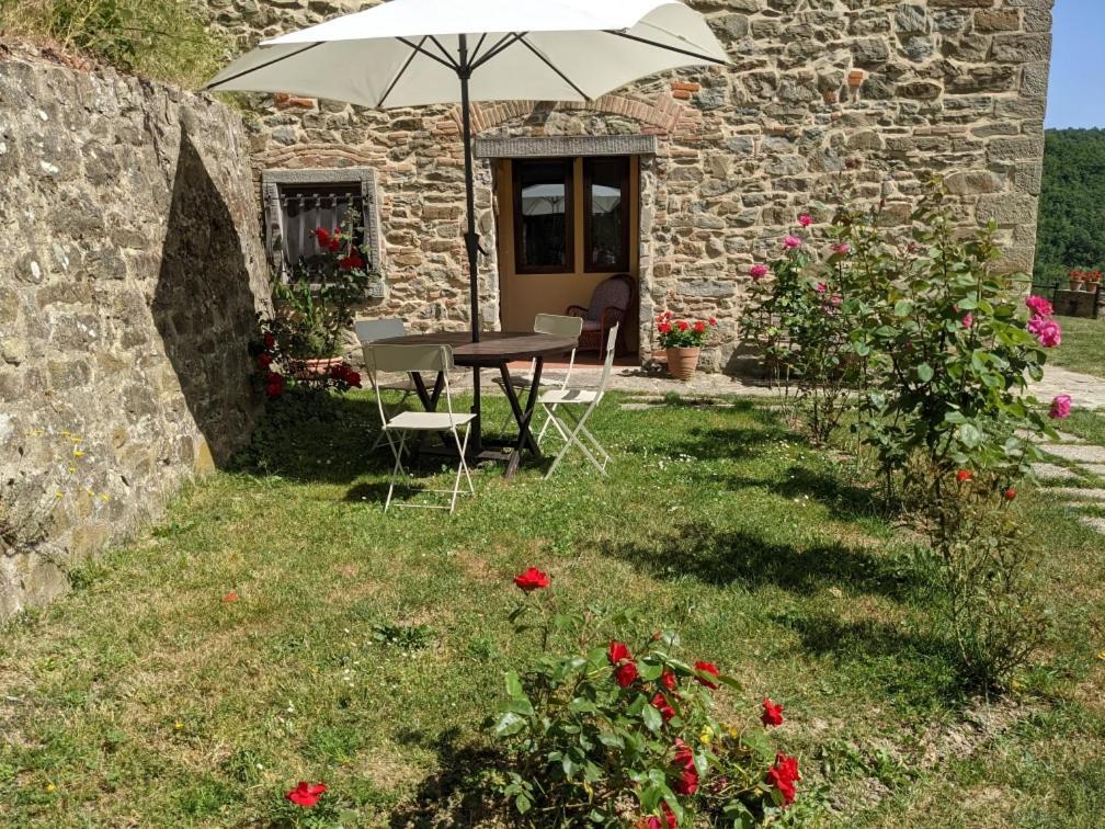 Agriturismo Casentino - Fattoria Ventrina Martina 外观 照片