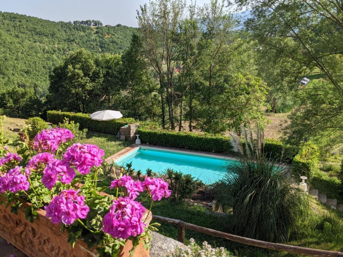 Agriturismo Casentino - Fattoria Ventrina Martina 外观 照片