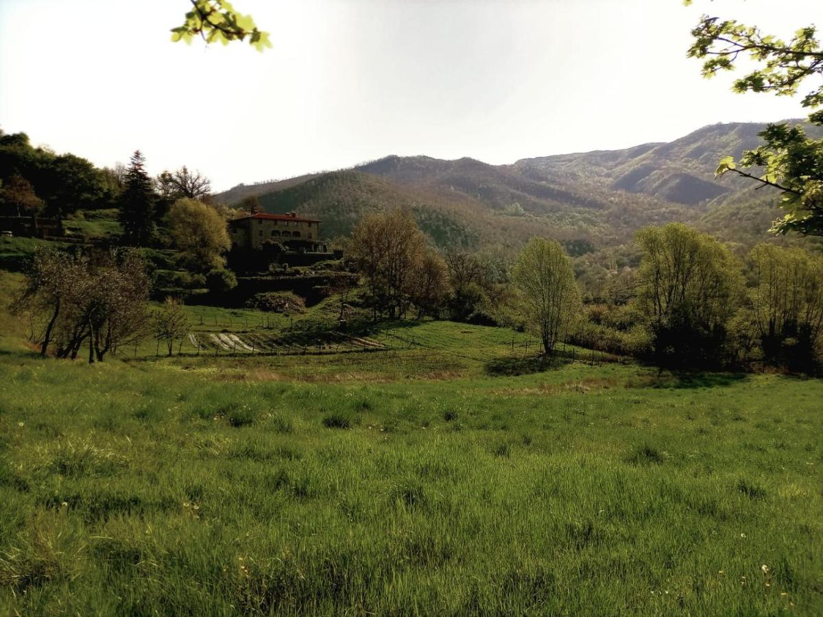 Agriturismo Casentino - Fattoria Ventrina Martina 外观 照片