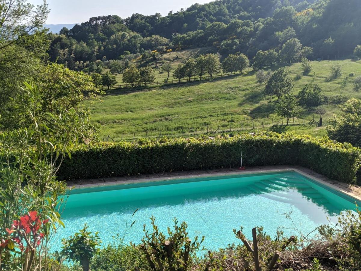 Agriturismo Casentino - Fattoria Ventrina Martina 外观 照片