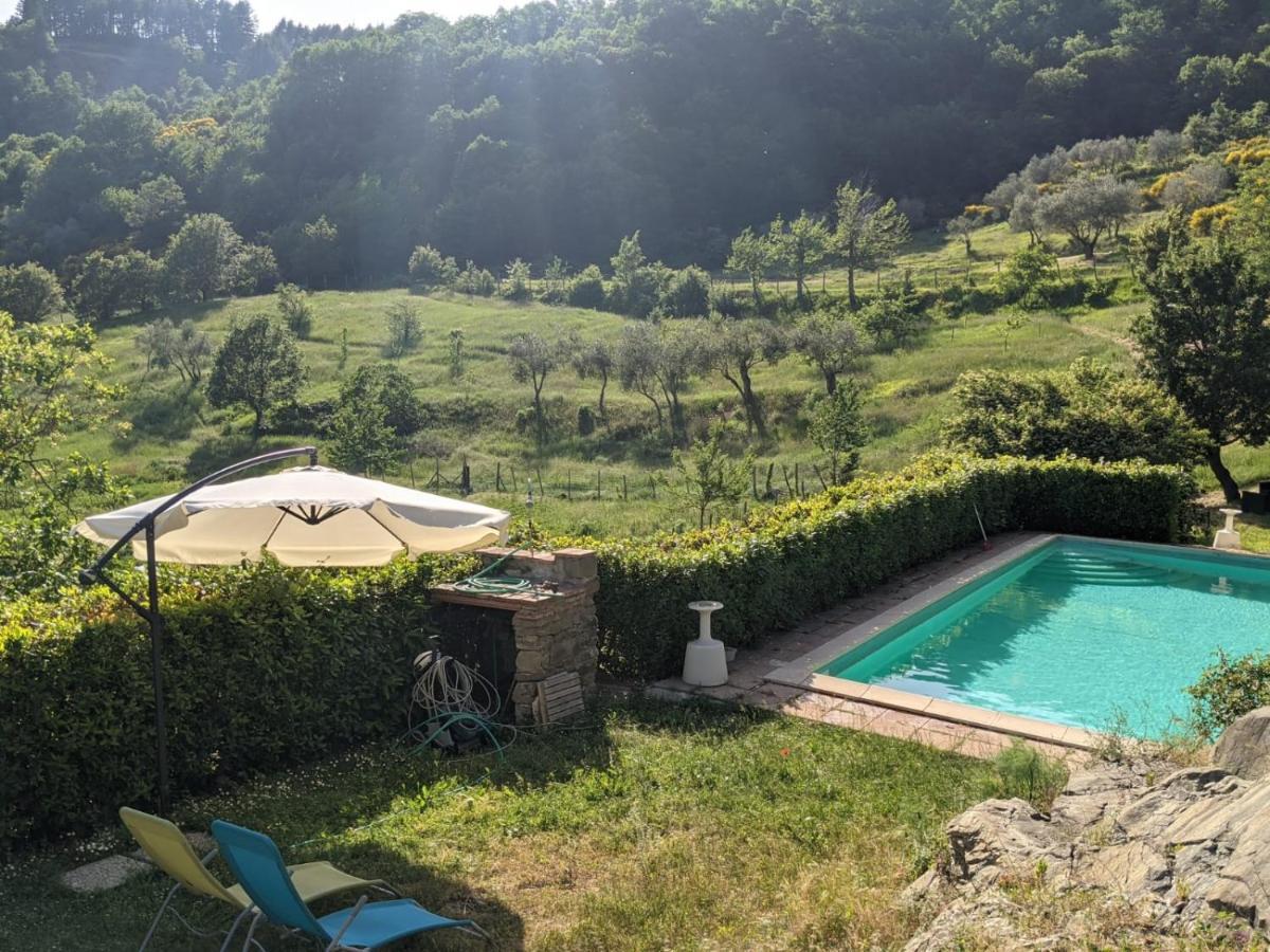 Agriturismo Casentino - Fattoria Ventrina Martina 外观 照片