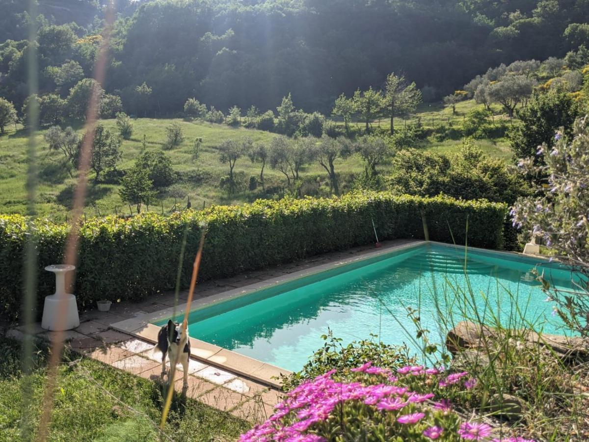 Agriturismo Casentino - Fattoria Ventrina Martina 外观 照片