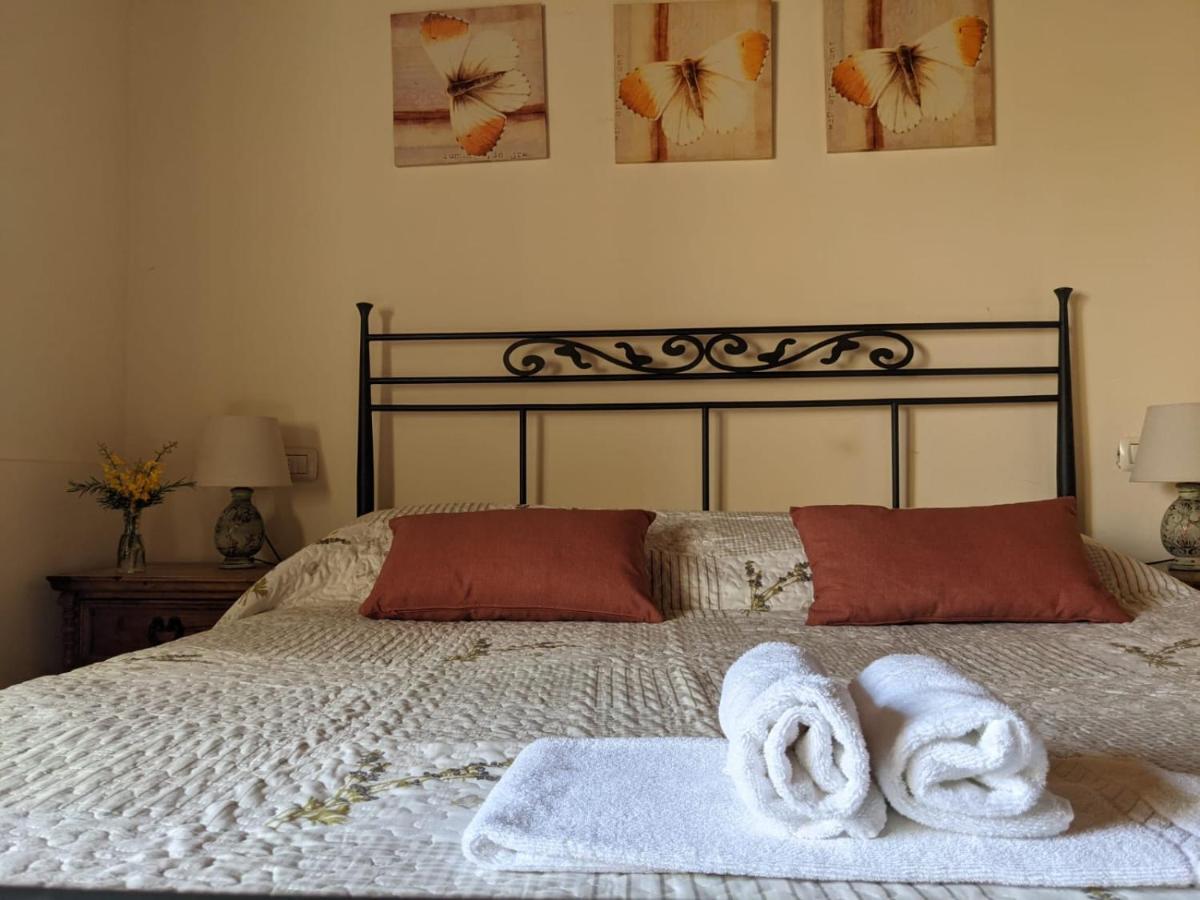 Agriturismo Casentino - Fattoria Ventrina Martina 外观 照片