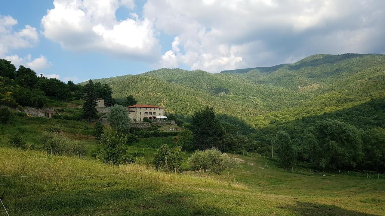 Agriturismo Casentino - Fattoria Ventrina Martina 外观 照片